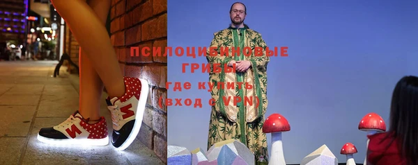 шишки Кинешма
