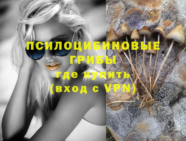 эйфоретик Коряжма