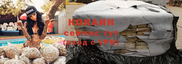 шишки Кинешма