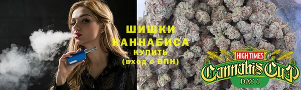 шишки Кинешма